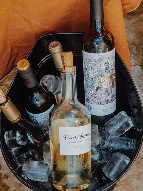 Imágenes-carrousel-10