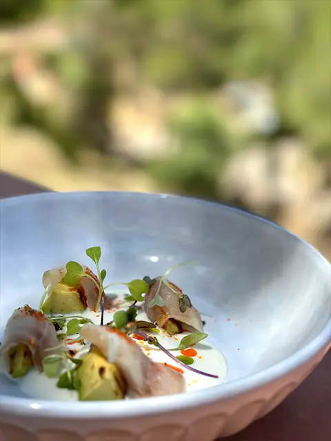 Imágenes-carrousel-8